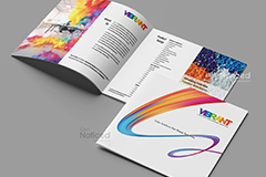 Product Catalogue Design for Vibrant Colortech – A RAL Shade Masterpiece